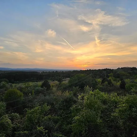 Апартаменты The White Flat